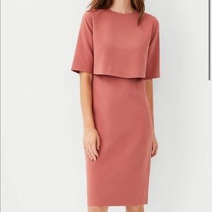 NWT Ann Taylor Overlay Elbow Sleeve Dress